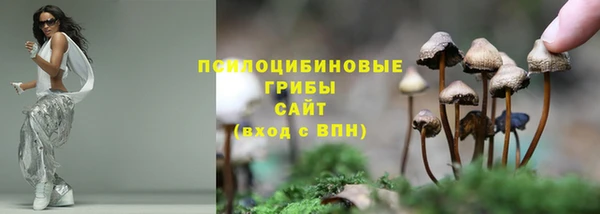 шишки Кадников