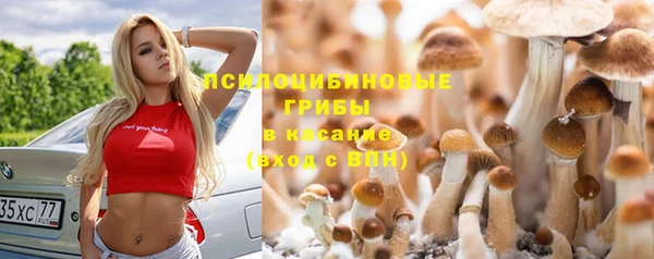 a pvp Аркадак